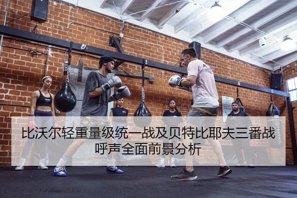 比沃尔轻重量级统一战及贝特比耶夫三番战呼声全面前景分析