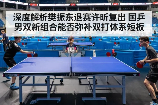深度解析樊振东退赛许昕复出 国乒男双新组合能否弥补双打体系短板